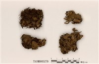 藏品(長根地卷)的圖片